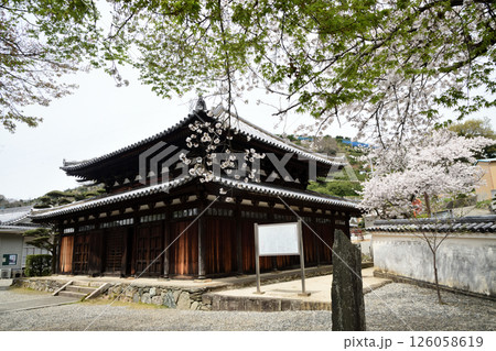 善福院釈迦堂　【和歌山県海南市】 126058619