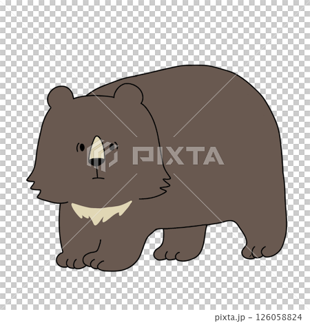 四つ足で立つクマのイラスト	 126058824