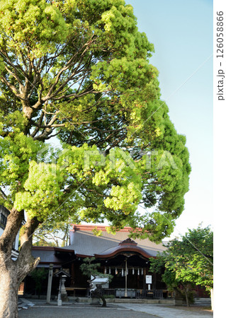 志磨神社 【和歌山県和歌山市】 志磨神社 【和歌山県和歌山市】 126058866