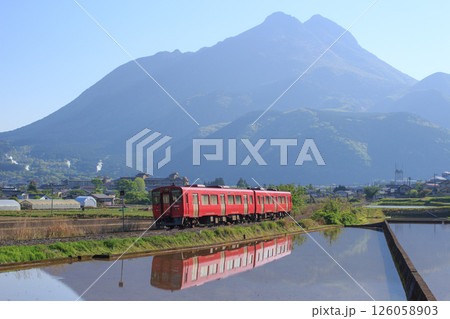 水田に映る赤い列車と由布岳（JR九州　キハ200系） 126058903