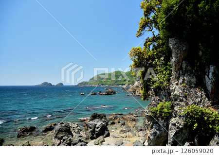 見老津の海岸　【和歌山県すさみ町】 126059020