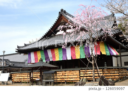 安倍文殊院　【奈良県桜井市】 126059097