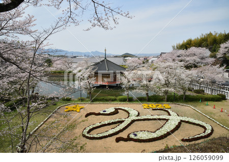 安倍文殊院　【奈良県桜井市】 126059099