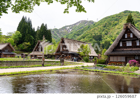 田植えの時期に五箇山合掌造り集落を訪ね、その原風景に心癒されて 126059687