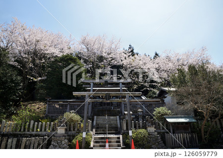 国城神社 【和歌山県橋本市】 国城神社 【和歌山県橋本市】 126059779