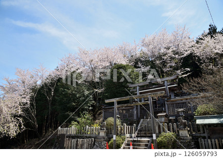 国城神社 【和歌山県橋本市】 国城神社 【和歌山県橋本市】 126059793