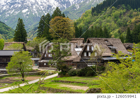 残雪が残る時期に五箇山合掌造り集落を訪ね、その原風景に心癒されて 残雪が残る時期に五箇山合掌造り集落を訪ね、その原風景に心癒されて 126059941