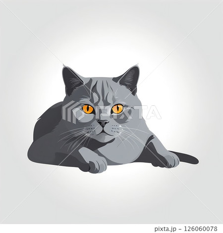 独立心が強いブリティッシュショートヘア 126060078