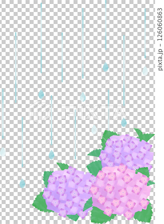 Rainy hydrangea illustration 126060863