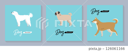 犬のイラストセット3 126061166