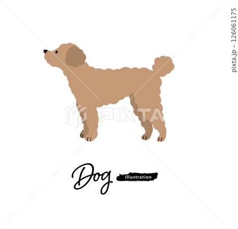 犬のイラスト_トイプードル 犬のイラスト_トイプードル 126061175