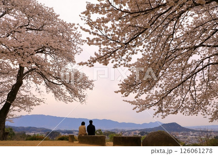 甘樫丘(あまかしのおか)から見た満開の桜と明日香夕景 126061278