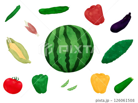 夏野菜の手描き風イラストのセット 126061508