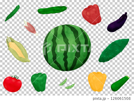 一組夏季蔬菜手繪插圖 126061508