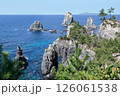 青海島自然研究路の象の鼻 126061538