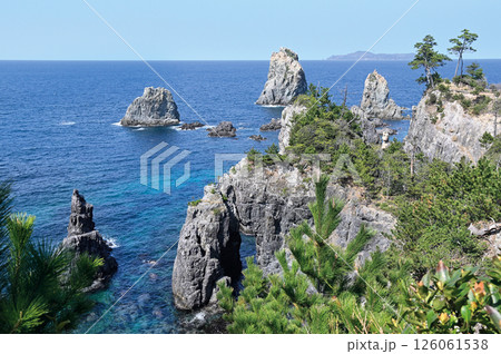 青海島自然研究路の象の鼻 青海島自然研究路の象の鼻 126061538