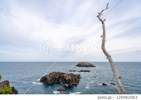 龍舞崎 三陸復興国立公園 日本最大級の海食崖 気仙沼大島の最南端 龍舞崎 三陸復興国立公園 日本最大級の海食崖 気仙沼大島の最南端 126062063