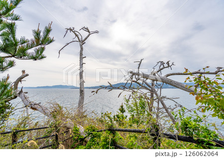 龍舞崎　三陸復興国立公園　日本最大級の海食崖　気仙沼大島の最南端 126062064