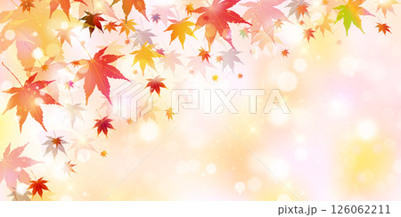 紅葉　もみじ　秋　背景	 126062211