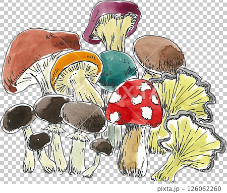 蘑菇畫水彩 126062260