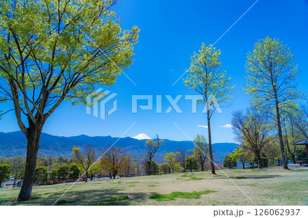 【初夏素材】新緑の季節の笛吹川フルーツ公園と甲府盆地【山梨県】 【初夏素材】新緑の季節の笛吹川フルーツ公園と甲府盆地【山梨県】 126062937
