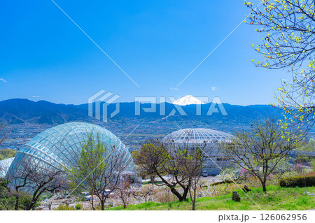 【初夏素材】新緑の季節の笛吹川フルーツ公園と甲府盆地【山梨県】 126062956