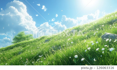 grass and blue sky with clouds 126063316