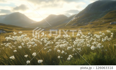 beautiful landscape of the mountains 126063318