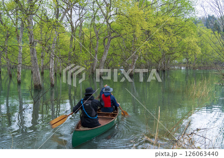 白川湖水没林の間をヌッて進むカヌー 126063440