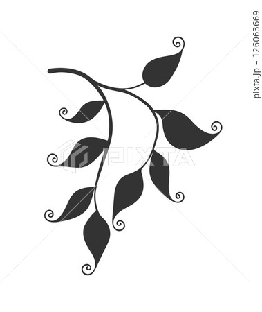 Lace leaves on branch, beautiful lace leaves with curls. Beauty in nature. Curved leaf. Silhouette, icon, logo.  126063669