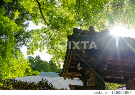 新緑に包まれる龍虎山 曹洞宗長安寺 新緑に包まれる龍虎山 曹洞宗長安寺 126063864