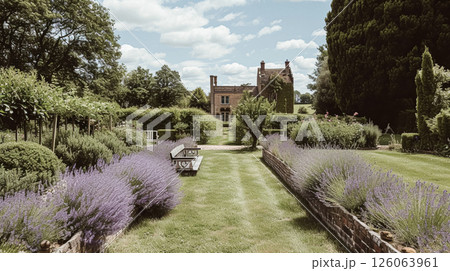 A picturesque stone manor house nestled amidst vibrant lavender garden in the English countryside. 126063961