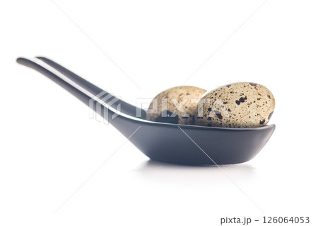 Spotted quail eggs on spoon isolated on white background. 126064053