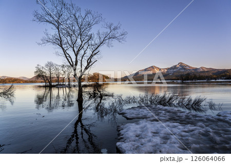 初夏の裏磐梯 檜原湖から夕方の湖面に映る木々と磐梯山 126064066