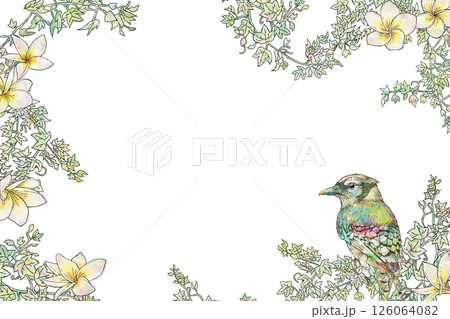 フランジパニと鳥のフレーム 126064082