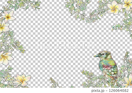 フランジパニと鳥のフレーム 126064082