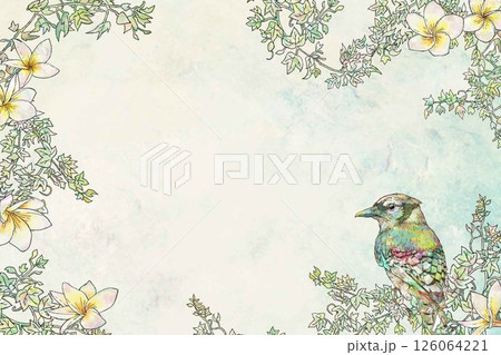 フランジパニと鳥のフレーム背景グラデーション 126064221