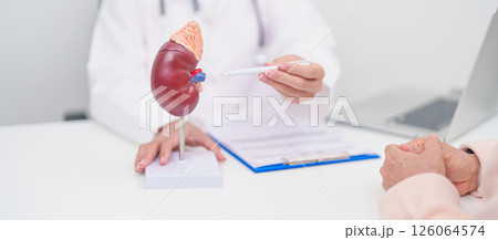Elderly Patient consultation with doctor for Kidney disease, Urinary system and Stones, Cancer, world kidney day, Chronic kidney, Urology, Nephritis, Renal, Transplant and medical healthcare concept Elderly Patient consultation with doctor for Kidney disease, Urinary system and Stones, Cancer, world kidney day, Chronic kidney, Urology, Nephritis, Renal, Transplant and medical healthcare concept 126064574