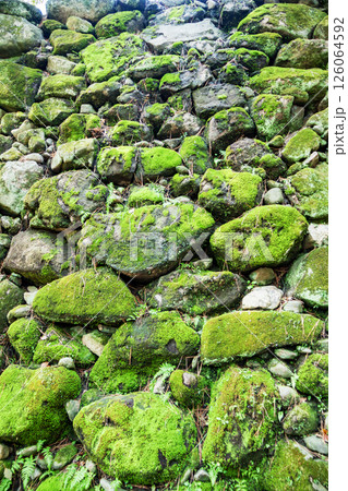苔むした古城の石垣 126064592