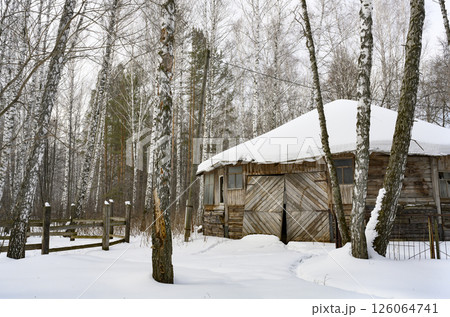 An old wooden abandoned house covered with snow in a birch forest in winter An old wooden abandoned house covered with snow in a birch forest in winter 126064741