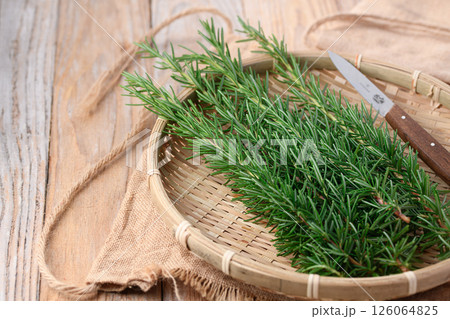 ローズマリー 126064825