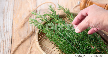 ローズマリー 126064830