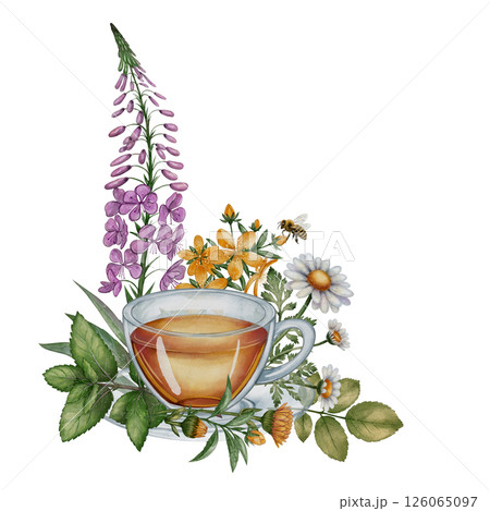 Herbal tea cup with chamomile, fireweed and honey bee illustration 126065097