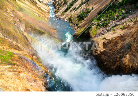 Mist from the powerful Lower Falls in Yellowstone National Park creates a vivid rainbow over the Grand Canyon of the Yellowstone, adding color to the rugged landscape. UNESCO world heritage in Wyoming 126065350