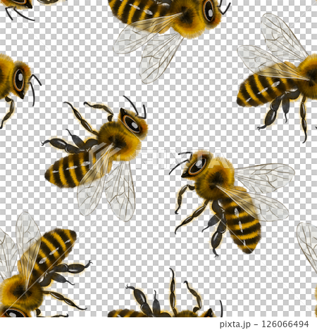 Bee pattern illustration 126066494
