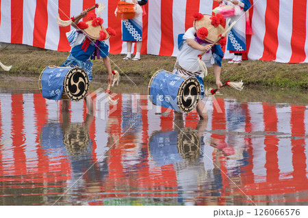 〈島根県〉池田地区の花田植　田植え囃子 126066576