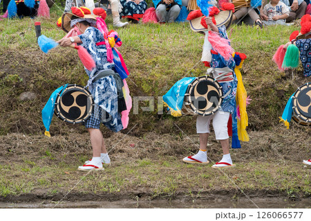 〈島根県〉池田地区の花田植　田植え囃子 126066577