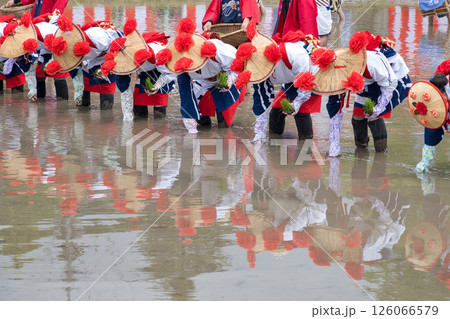 〈島根県〉池田地区の花田植 126066579