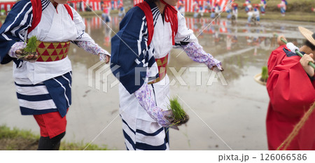 〈島根県〉池田地区の花田植 〈島根県〉池田地区の花田植 126066586