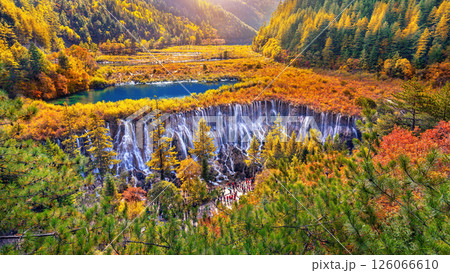 Nuorilang waterfall in Jiuzhaigou national park, China. Autumn in Sichuan. 126066610